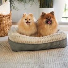 Honey Possum Pet Bed